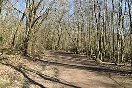 Sussex border path